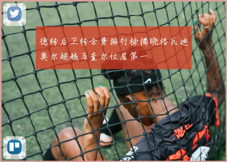德转后卫转会费排行榜揭晓格瓦迪奥尔超越马奎尔位居第一